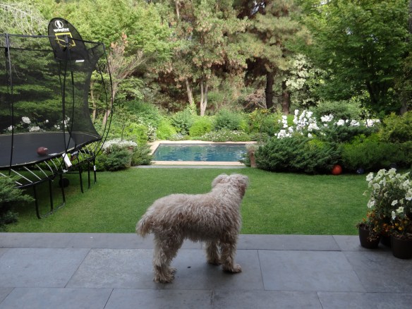 Redding Thanksgiving